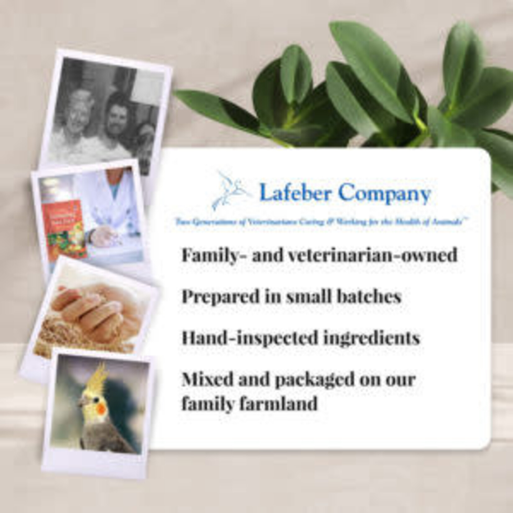 Lafeber's Lafeber Cockatiel Foraging Fun Pack