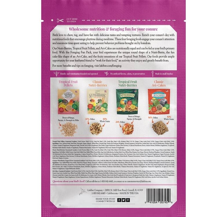 Lafeber's Lafeber Conure Foraging Fun Pack