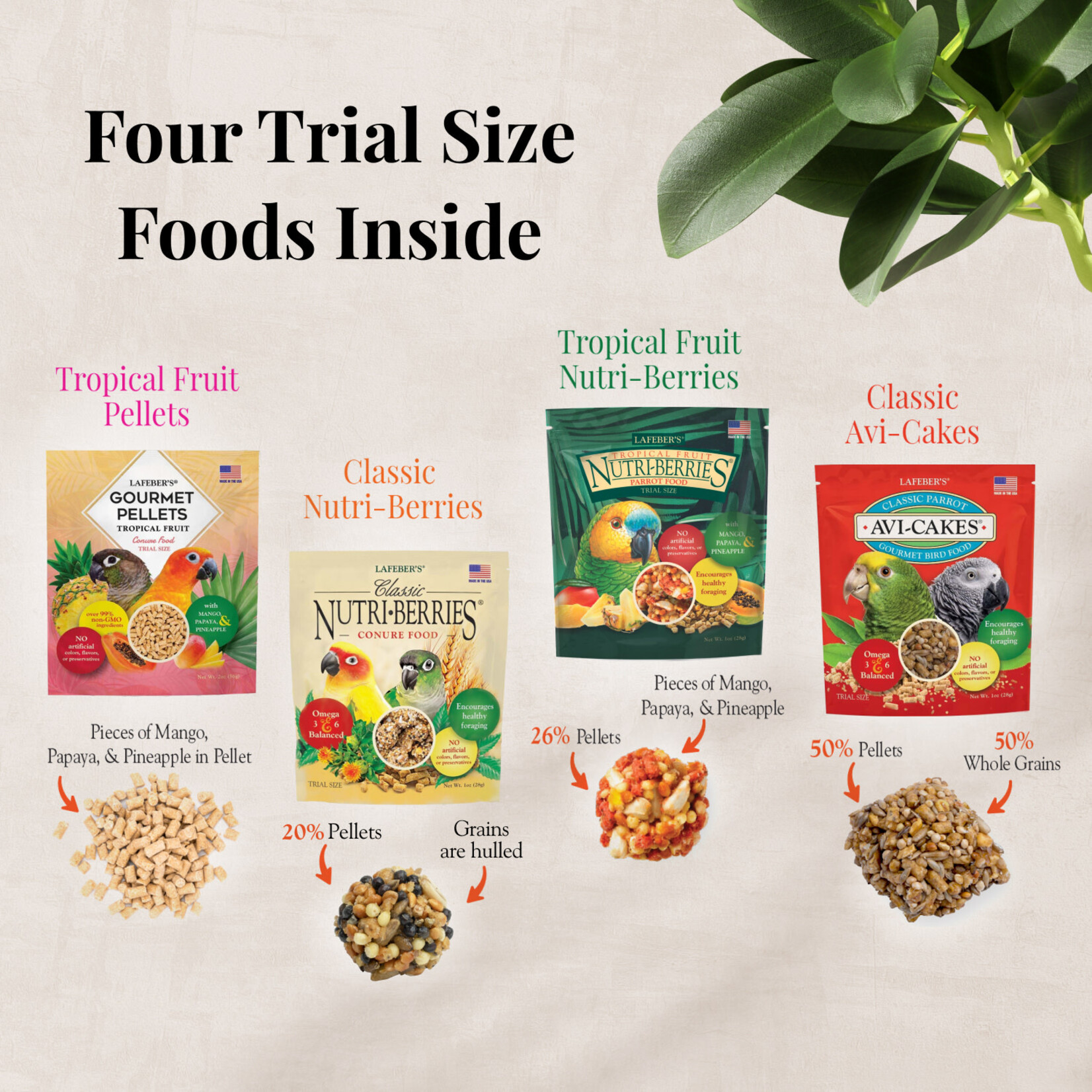 Lafeber's Lafeber Conure Foraging Fun Pack