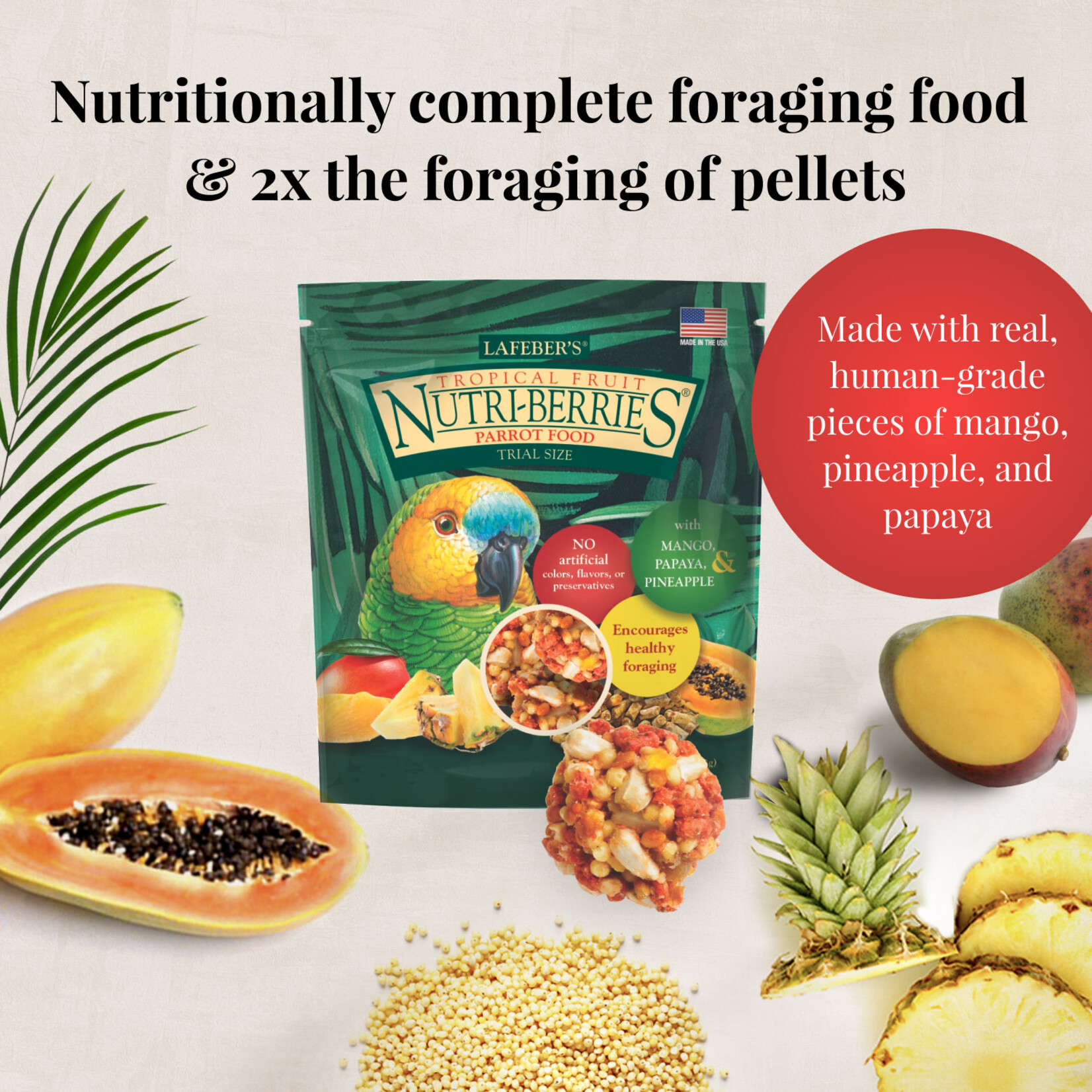 Lafeber's Lafeber Conure Foraging Fun Pack