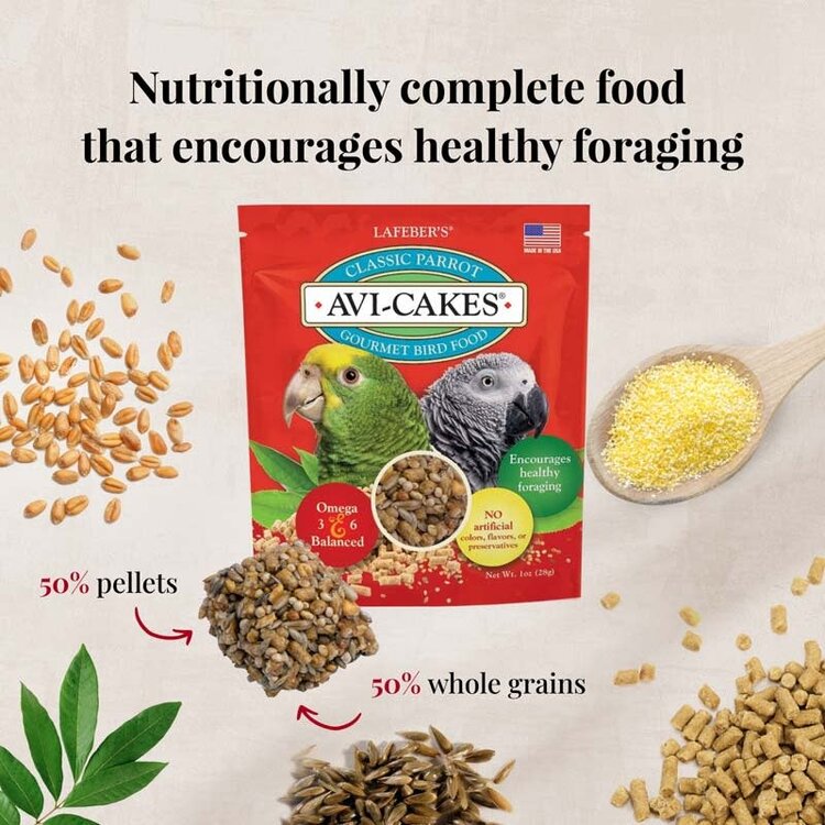Lafeber's Lafeber Conure Foraging Fun Pack