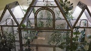 Unlocking the Benefits of Full Spectrum Lighting for Captive Parrots