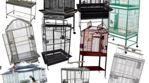 A Guide to Choosing the Right Cage for Your Feathered Friend