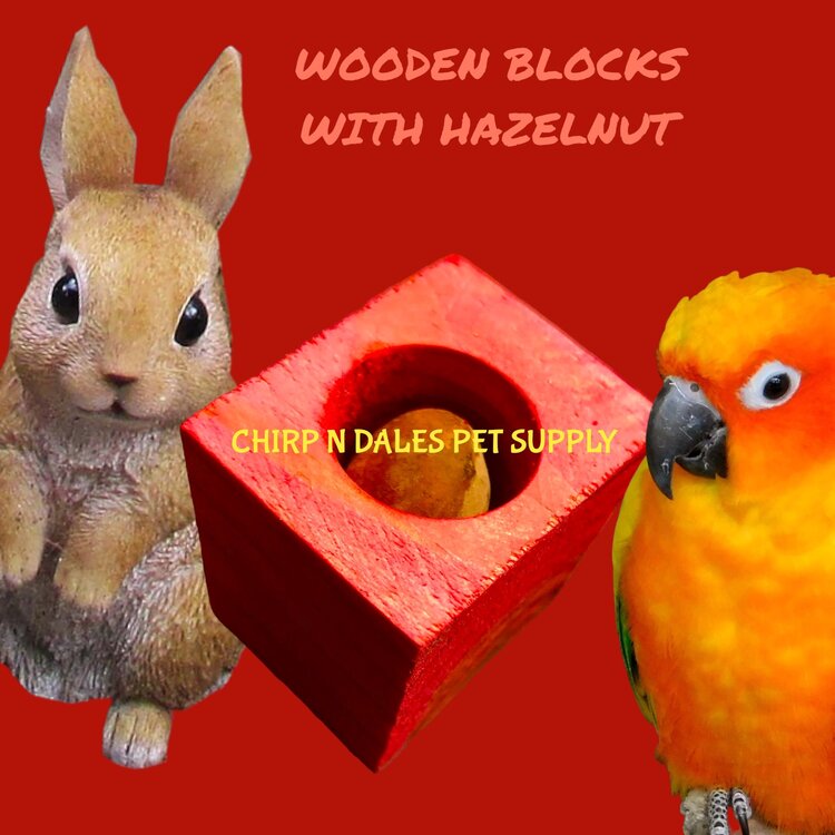 WOOD BLOCK WITH HAZELNUT  H-167  (1.5" X 1.25")