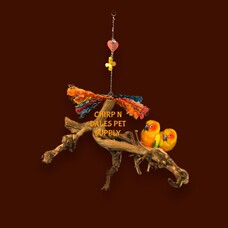 Bonkers Bonkers Hanging Root