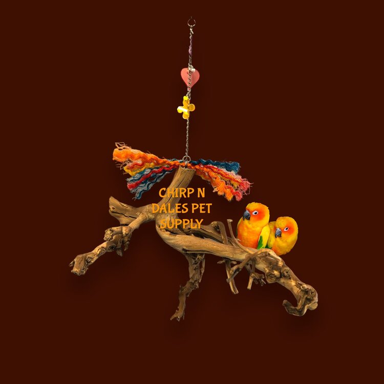 Bonkers Bonkers Hanging Root