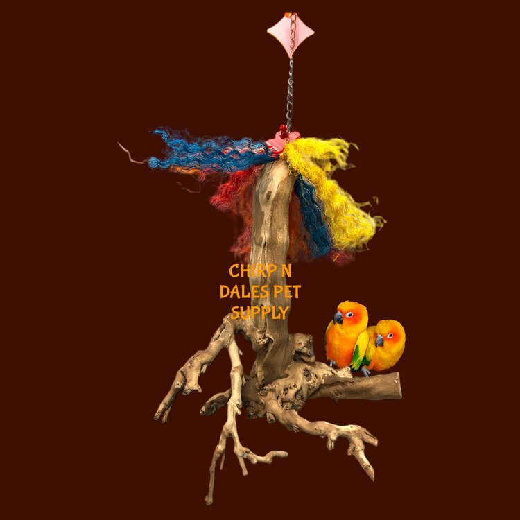 Bonkers Bonkers Hanging Root