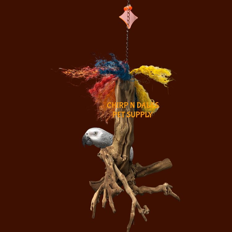 Bonkers Bonkers Hanging Root