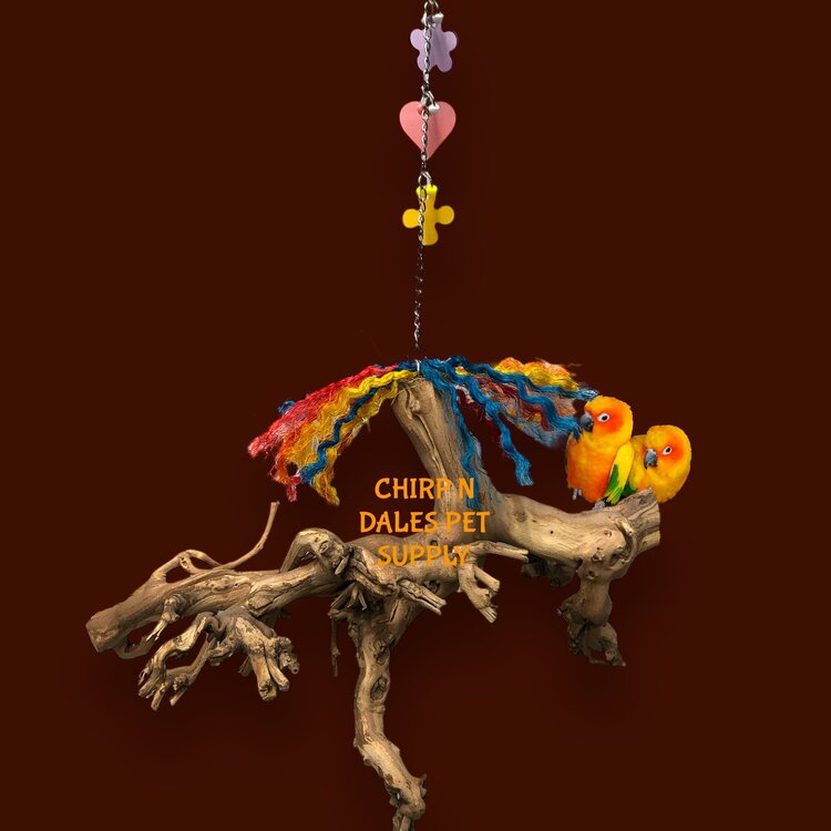 Bonkers Bonkers Hanging Root