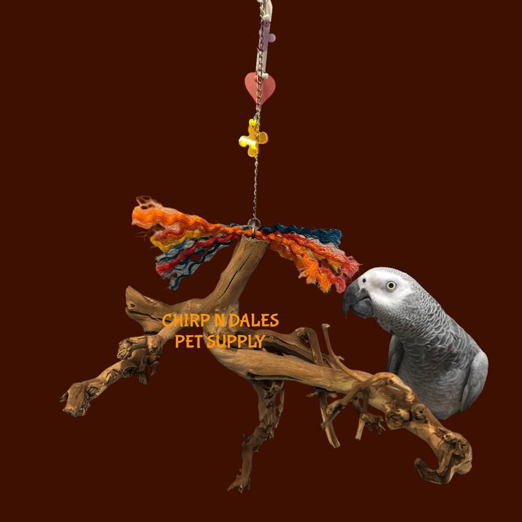 Bonkers Bonkers Hanging Root