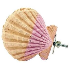 Jolly Jungle SMALL CALCIUM CLAM PERCH FOR BIRDS