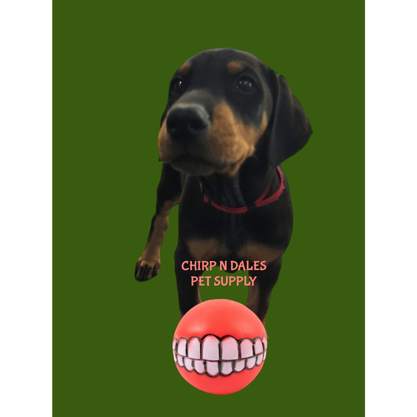 Hemp 4 Tails Tooth Ball Assorted Colors