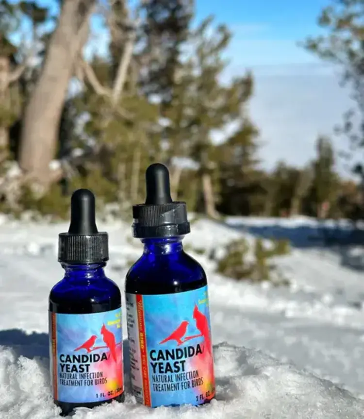 Morning Bird Morning Bird Candida/Yeast 1fl. oz