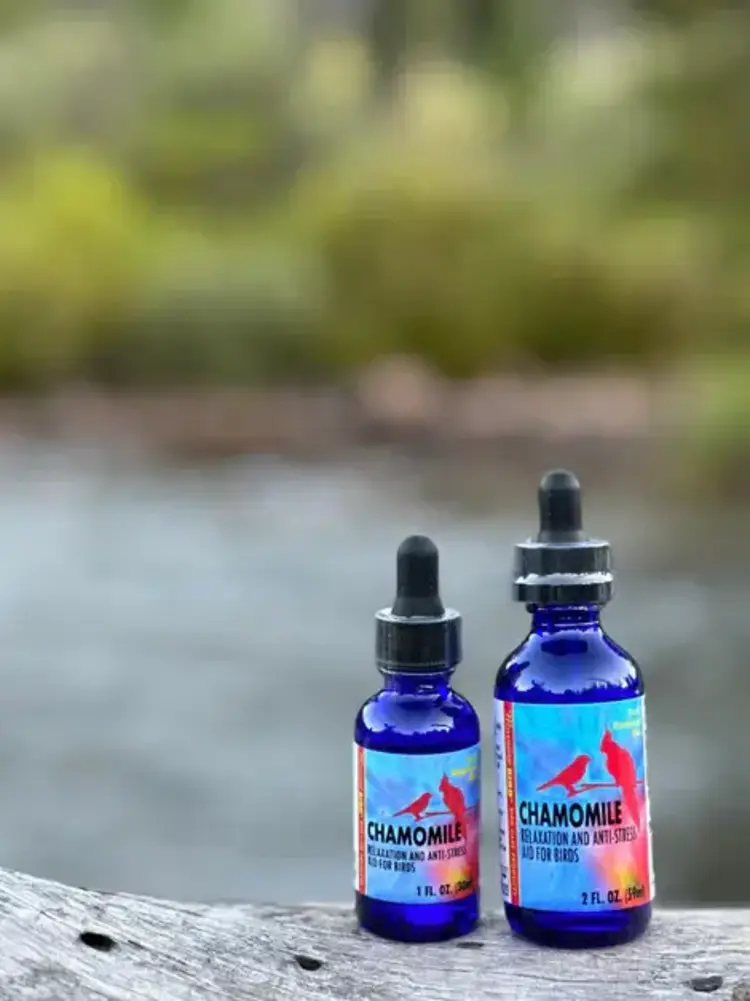 Morning Bird Morning Bird Chamomile  1 fl. oz