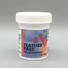 Morning Bird Morning Bird Feather Fast 1oz