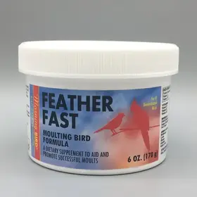 Morning Bird Morning Bird Feather Fast 6 oz