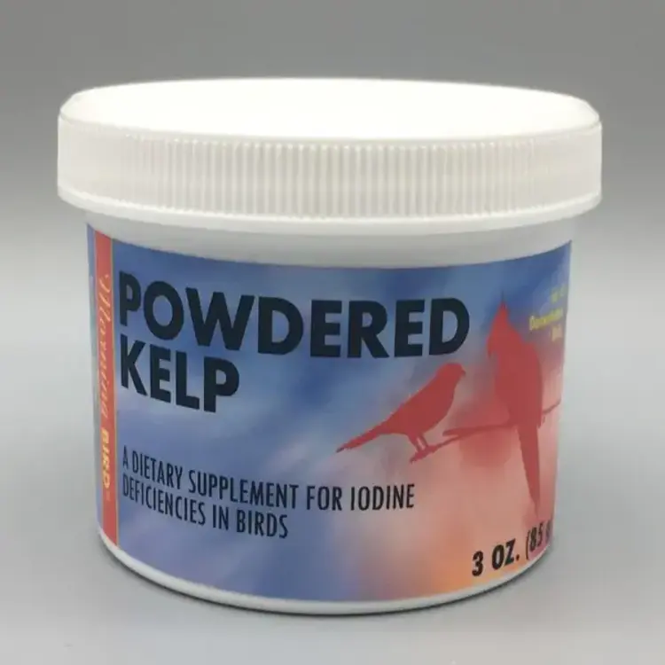 Morning Bird Morning Bird Powdered Kelp 3oz