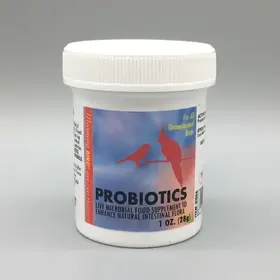Morning Bird Morning Bird Probiotics 1oz