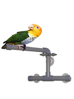 Zoo Max SHOWER PERCH 6"x9x9"T2001