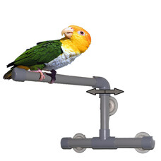 Zoo Max SHOWER PERCH 6"x9x9"T2001