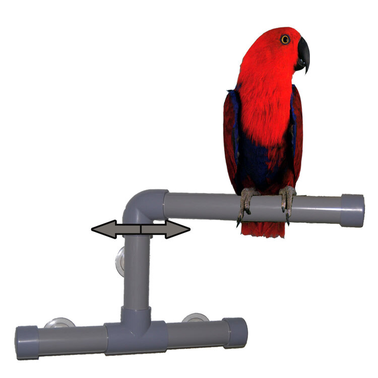 Zoo-Max Z00 Max SHOWER PERCH  MED 9"x12"x12"