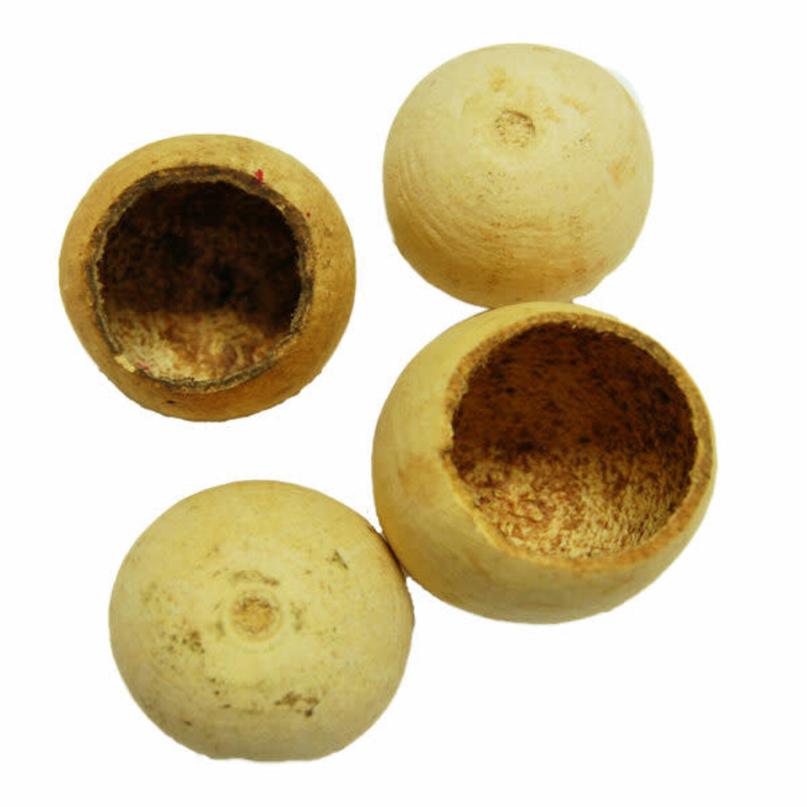 Zoo Max Zoo Max Natural  POD Bell   1.5" - 2" Diameter 101242
