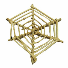 Zoo-Max Zoo Max Lata Mini Spider Web Nest 5cm (2") 101248
