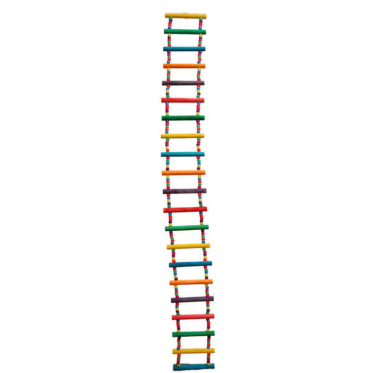 Zoo-Max Zoo Max Pony Beads ladder 35"H 025