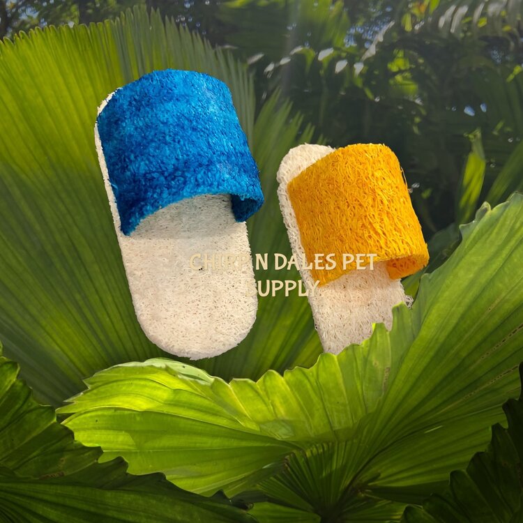 trixie Loofa Sandals (3 1/2"Long  x 1 1/2"Wide  x 1 1/4" High)