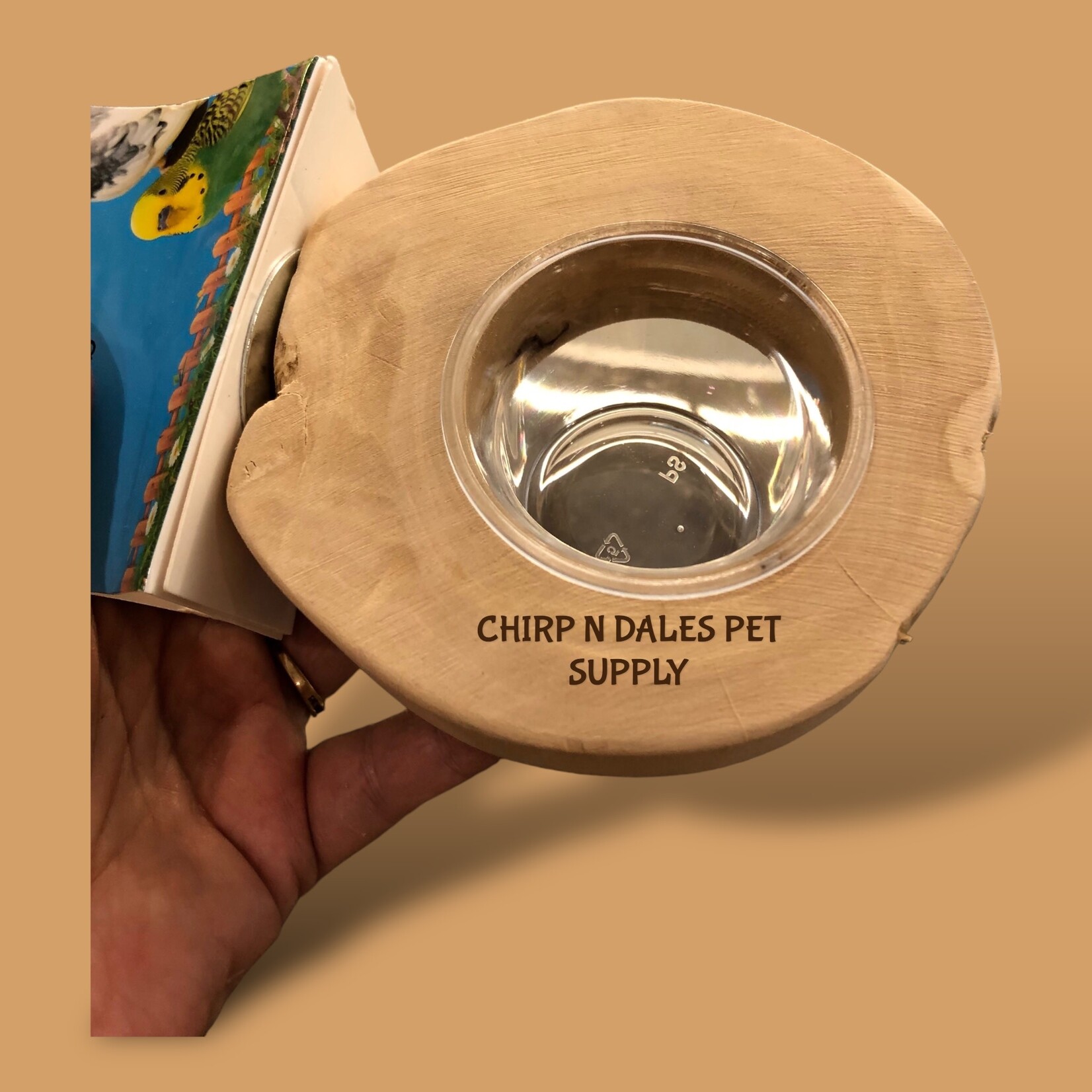 Jolly Jungle Jolly Jungle Natural Java Wood Platform Bird Feeder A1667