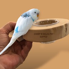 Jolly Jungle Jolly Jungle Natural Java Wood Platform Bird Feeder A1667