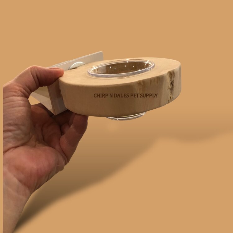 Jolly Jungle Jolly Jungle Natural Java Wood Platform Bird Feeder A1667