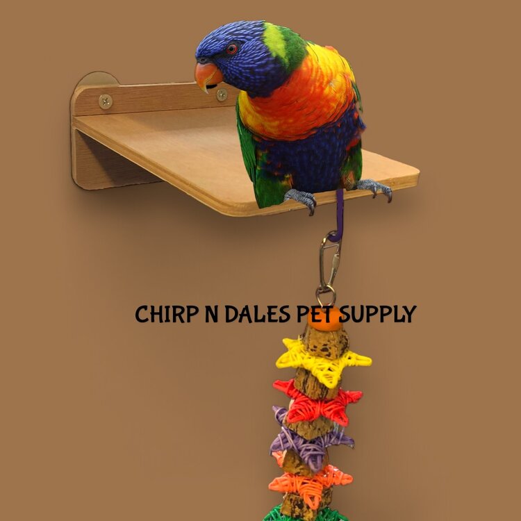 Jolly Jungle Jolly Jungle  Wood  Platform  Small 8"long x 6" wide