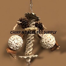 Jolly Jungle Jolly Jungle Wild Delight  10" x7"