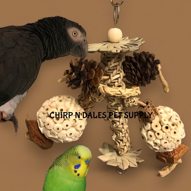 Jolly Jungle Jolly Jungle Wild Delight  10" x7"