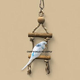 Jolly Jungle Jolly Jungle Natural Java Wood Perches With Rope and Swing Small