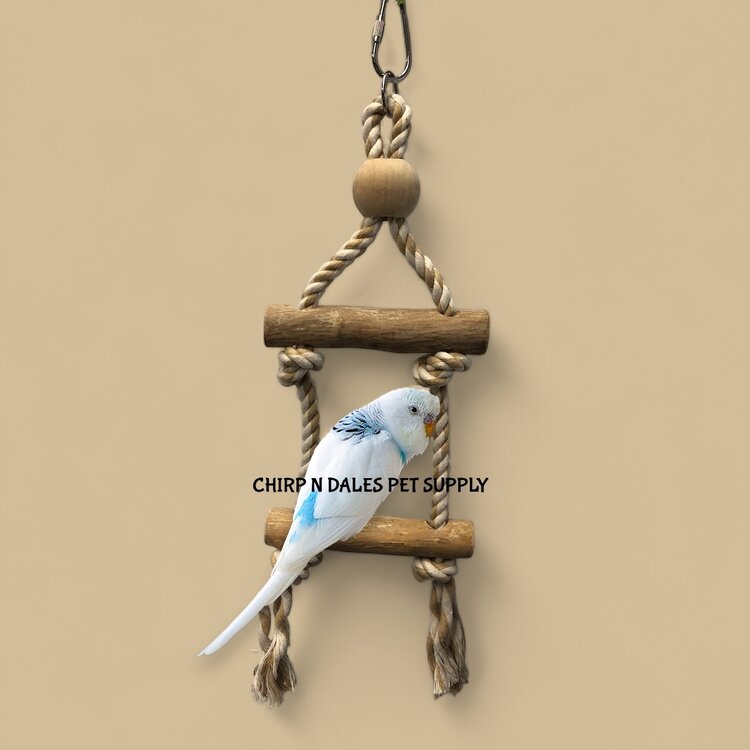 Jolly Jungle Jolly Jungle Natural Java Wood Perches With Rope and Swing Small