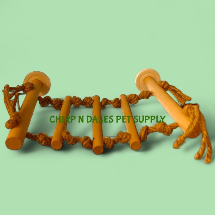 Jolly Jungle Jolly Jungle Wood Ladder Perch  8" Long by 6.75" Wide.