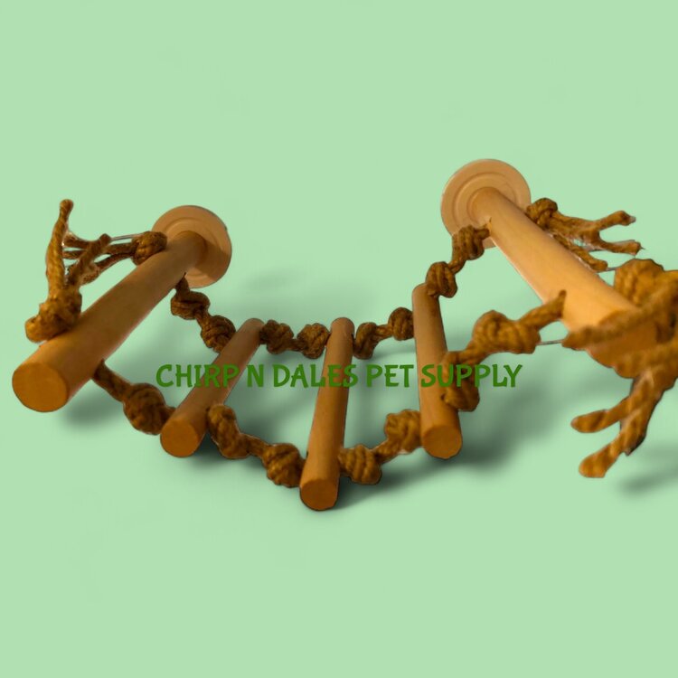 Jolly Jungle Jolly Jungle Wood Ladder Perch  8" Long by 6.75" Wide.