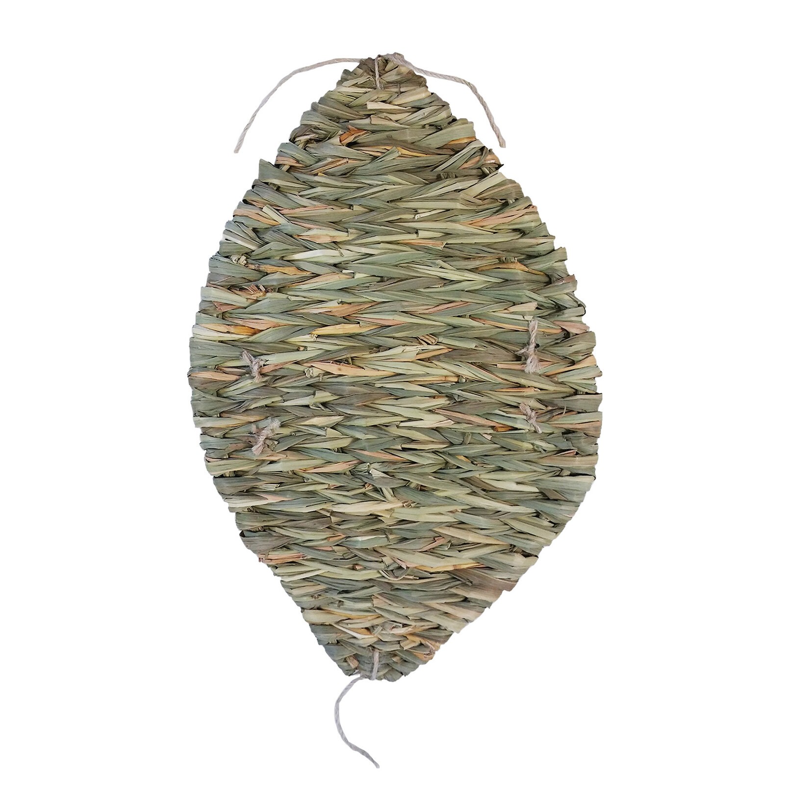 Living World Living World Green Grass Cage Mat - Large - 42 cm L x 28 cm W x 3 cm D (16.5 x 11 x 1 in)