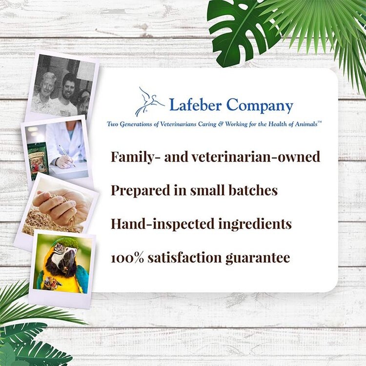 Lafeber's Lafeber's Nutri-Berries Tropical Fruit Macaw (3lb)