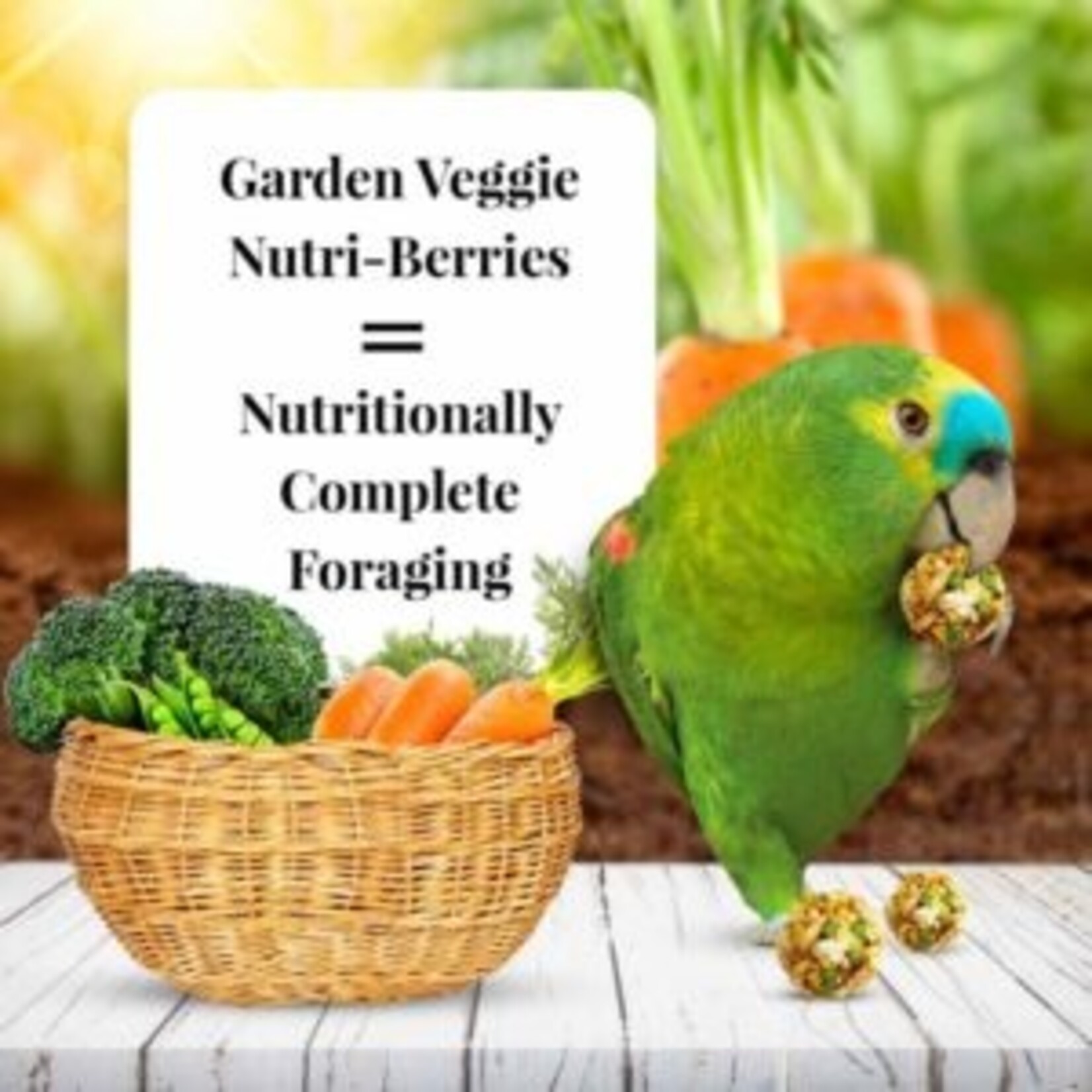 Lafeber's Lafeber's Nutri-Berries Garden Veggie Parrot (10oz)
