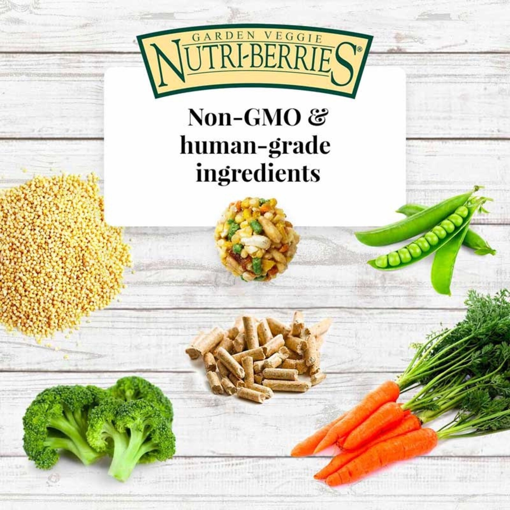 Lafeber's Lafeber's Nutri-Berries Garden Veggie Parrot (10oz)