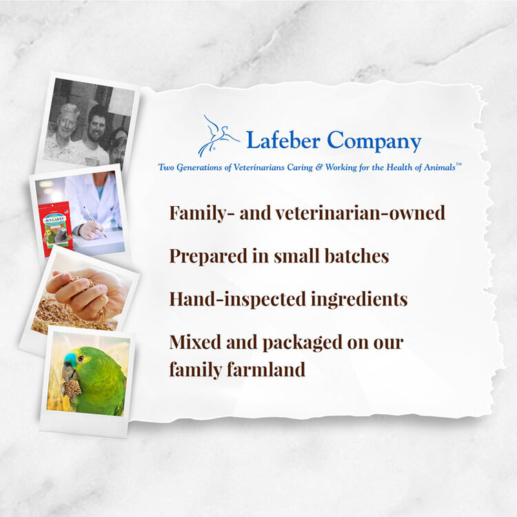 Lafeber's Lafeber Avi-Cakes Classic for Parrots (12oz)