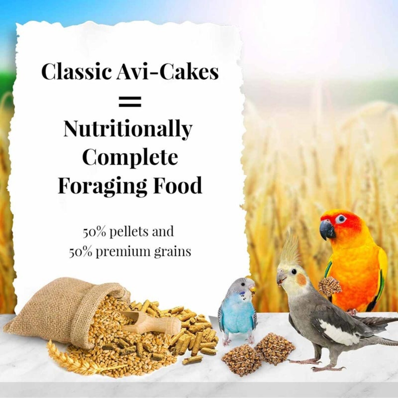 Lafeber's Lafeber Avi-Cakes Classic for Parakeets, Cockatiels, Lovebirds & Conures (8oz)
