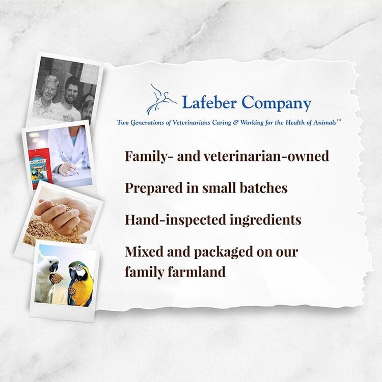 Lafeber's Lafeber Avi-Cakes Classic for Macaws, Cockatoos (1lb)