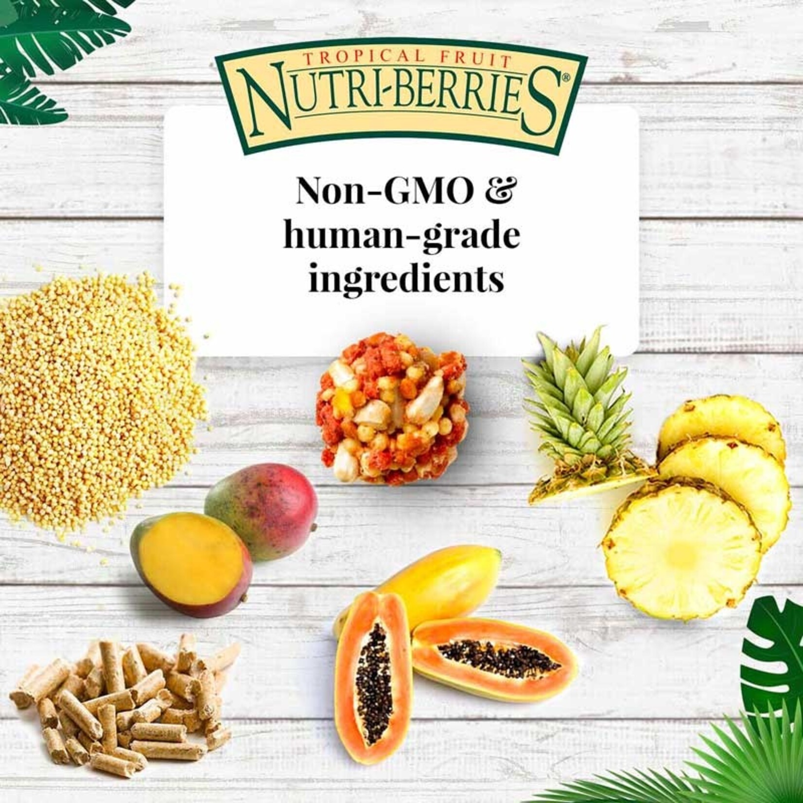 Lafeber's Lafeber  Tropical Fruit Nutri-Berries For Conures 10 OZ