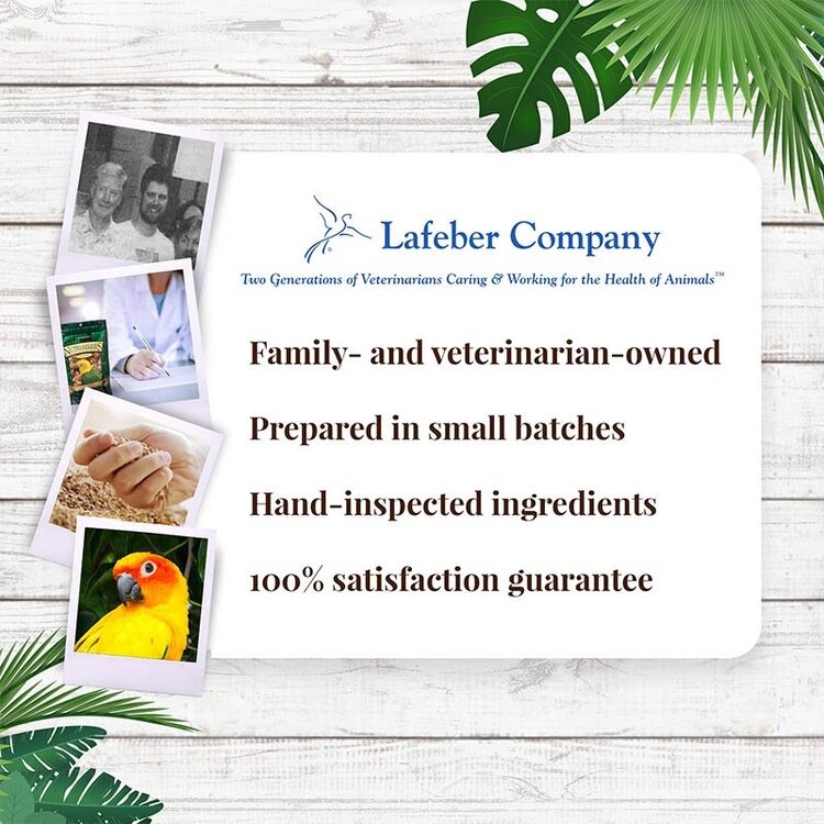 Lafeber's Lafeber  Tropical Fruit Nutri-Berries For Conures 10 OZ
