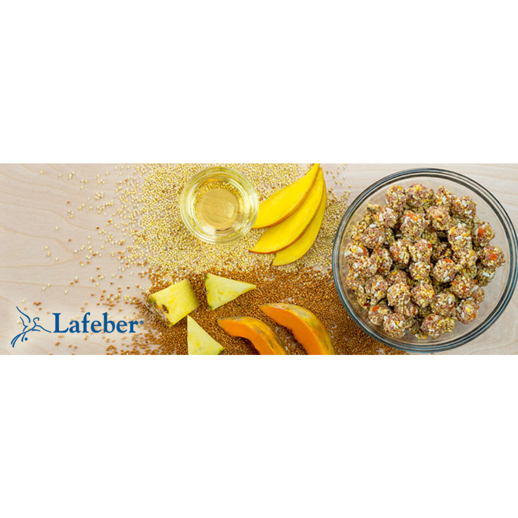 Lafeber's Lafeber  Tropical Fruit Nutri-Berries For Conures 10 OZ