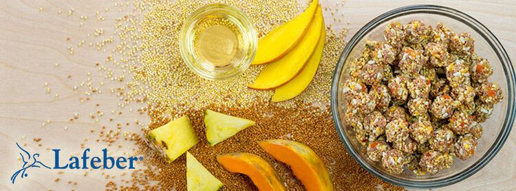 Lafeber's Lafeber  Tropical Fruit Nutri-Berries For Conures 10 OZ